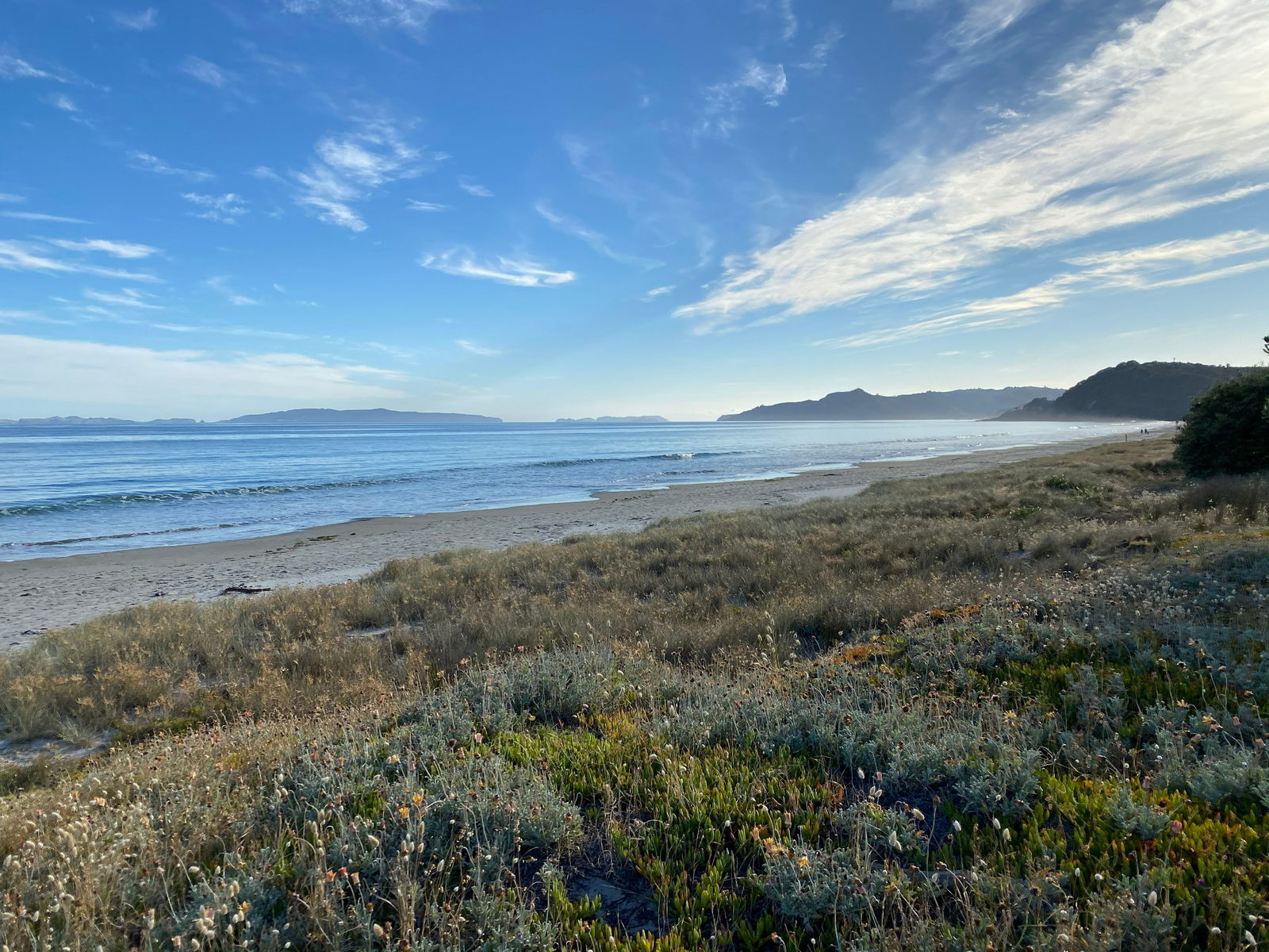 Matarangi Beach