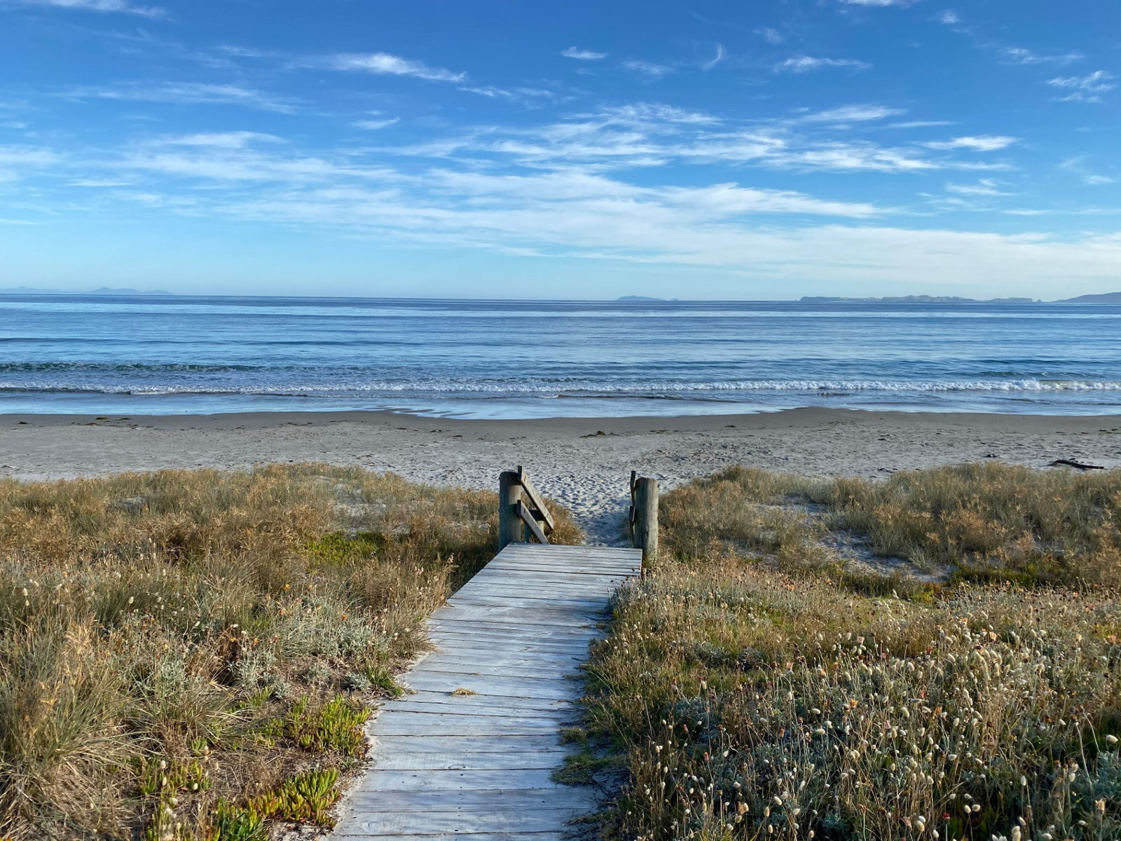 Matarangi Beach white sand and dunes on the Coromandel Peninsula