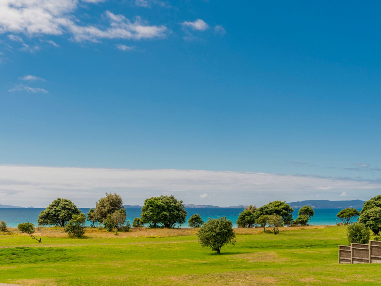 Village green and pohutukawa overlooking the sea